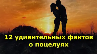 12 удивительных фактов о поцелуях, о которых вы даже не догадывались