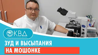 🙁 Зуд и высыпания на мошонке. Клинический случай №795