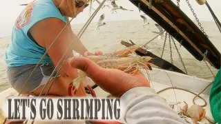 Offshore Shrimp Trawling... Everything Went Wrong!