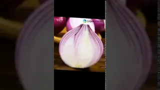 Onion-9 Impressive Health Benefits of Onions  Ciao Onion~~