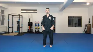 Kenpo Karate - Training at Home