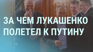 Зачем Навальный в суде цитировал Гарри Поттера | УТРО | 22.02.21