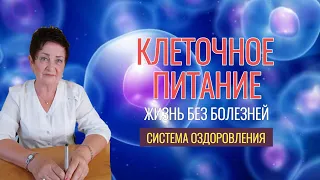 Клеточное питание - базовый фактор выхода из болезней