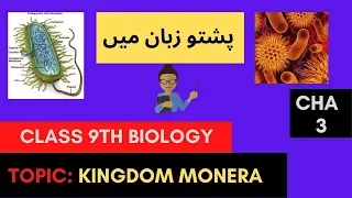 Kingdom Monera | Class 9th biology in pashto | Home of biology