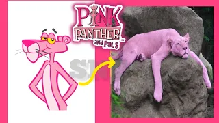 PINK PANTHER and PALS CHARACTERS in REAL LIFE | 👉👉@snthouse 👈👈