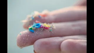 Microplastics - The Hidden Pollutants Affecting Our Planet (4 Minutes)