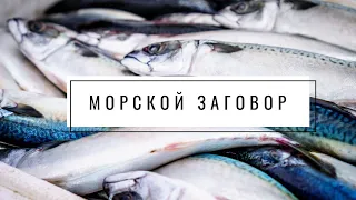 Факты о рыболовстве и океане, и как это влияет на людей и планету. Морской Заговор.