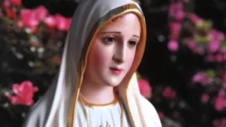 atto di Affidamento alla Madonna di Fatima con Papa Francesco - video di mariacaterina muggianu