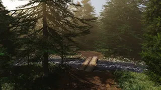 The Fir forest modeling! full modeling WorkFlow using Blender geometric nodes