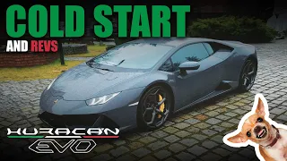 Lamborghini Huracan Evo :: Start up and revs :: Voltopedia