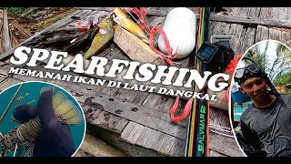 Spearfishing / memanah ikan di laut dangkal pinggiran  bisa dapat ikan || shore dive spearfishing