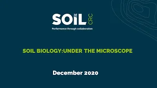 Soil biology: Under the microscope