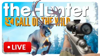 🔴 Call of the Wild stream: CHRISTMAS REINDEER HUNT