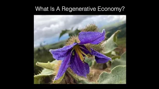 What Is A Regenerative Economy?
