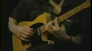 Ted Greene - Solo Guitar - Autumn Leaves