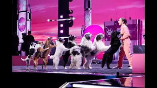 AGT Champions Finale Alexa Lauenburger Puppy Love