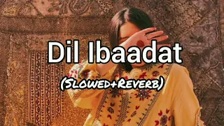 Dil Ibaadat - [Slowed Reverb]