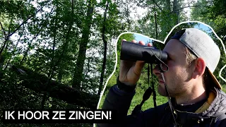 Vlog #261: Zingende Wielewalen in het Horsterwold 💛 | Sony A7 IV