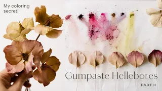 Gumpaste Flowers for Beginners: Hellebore Tutorial Part 2