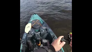 Pro Tips To Trigger MORE Strikes In Muddy or Dirty Water