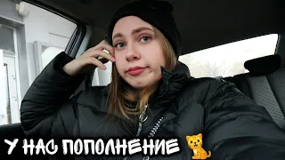 VLOG 🙌 Мы взяли котёнка 🐱🐈 Бесят все врачи❗❕🤦‍♀️