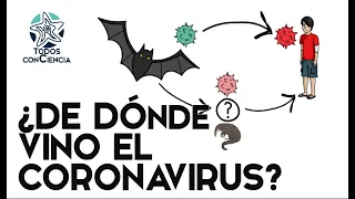 1  El origen del Coronavirus