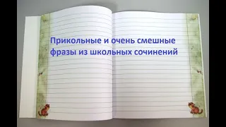 Перлы из школьных сочинений. Нарочно не придумаешь. Шедевры школьных сочинений