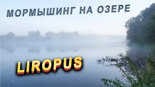 Dayo Liropus / Мормышинг на озере / Белая рыба