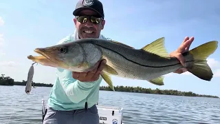 Lots of snook on top water! Muito robalo na superfície