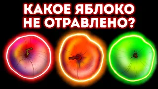 14 загадок, которые сможет разгадать даже ваш младший брат