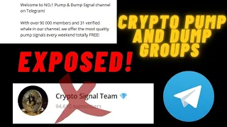 LIVE Crypto Pump And Dump Telegram Groups EXPOSED | DARK TRUTH