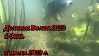 Подводная охота в дельте Волги 2023, 4 день