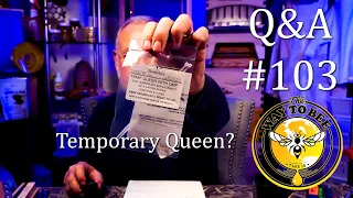 Backyard Beekeeping Questions and Answers episode 103 Time to alter boxes or not? Queenless?
