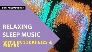 RELAXING SLEEP MUSIC WITH BUTTERFLIES AND MOTHS