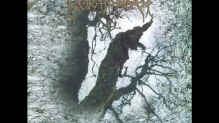 Borknagar ~ The olden domain {full album}