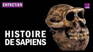 Pourquoi et comment Sapiens s’est-il imposé ?