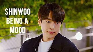 shinwoo being a mood for 7 minutes not so straight