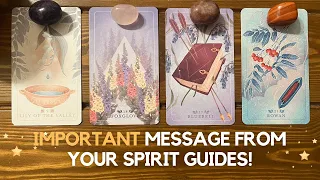Important message from your spirit guides! ✨😇 😲✨| Pick a card
