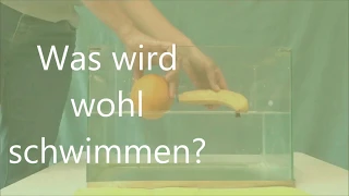 Haus der kleinen Forscher Experimente für Kinder!