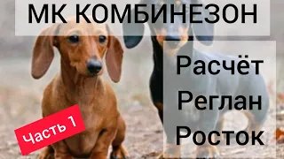 ❤️МК комбинезон для таксы девочки/ MK Overalls for dachshund girls