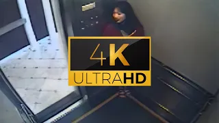 Elisa Lam 4K Elevator Video