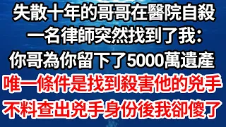 失散十年的哥哥在醫院自殺，一名律師突然找到了我：你哥為你留下了5000萬遺產，唯一條件是找到殺害他的兇手，不料查出兇手身份後我卻傻了【倫理】【都市】