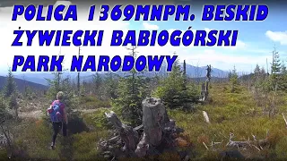 Polica 1369mnpm. Beskid Żywiecki Babiogórski Park Narodowy