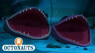 #StayHome Octonauts - Gobblefish! | Compilation | Cartoons for Kids