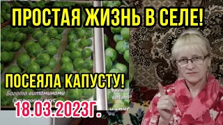 Живём в селе! Лайфхак-посадка капусты! Готовлю салат,каша на ужин!