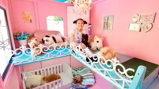 Bug's Dogs Morning Routine inside Dog Mansion