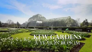 Kew Gardens A Year In Bloom S02E05