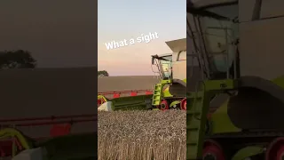 CLAAS Lexion 770