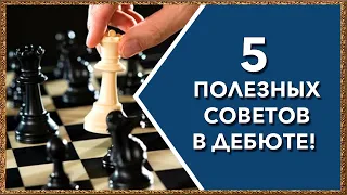 Шахматы. 5 полезных советов в дебюте!