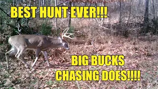 LATE RUT HUNTING NORTH CAROLINA!!!